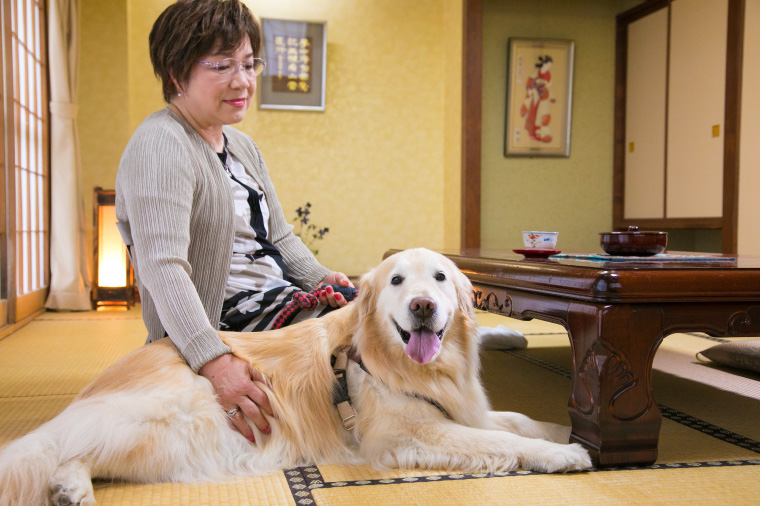 大型犬までＯＫ！ペットと泊まれる宿